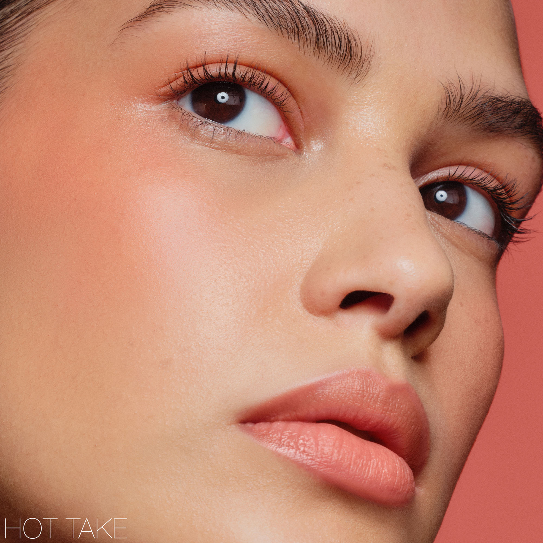 THE MULTIPLE (L&Aacute;PIZ MULTIUSOS)